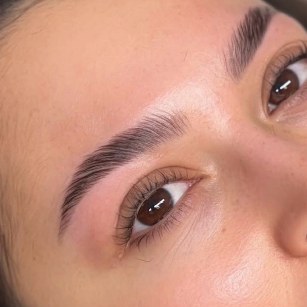 Brow Lamination + Tint + Shape at The Powder Room in Warwick, RI
