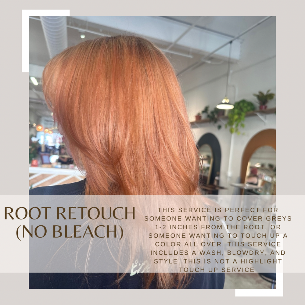 Root Retouch (No Bleach) at Marisa Prizzi in Ventura, CA