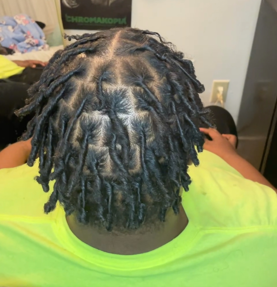 Starter Locs