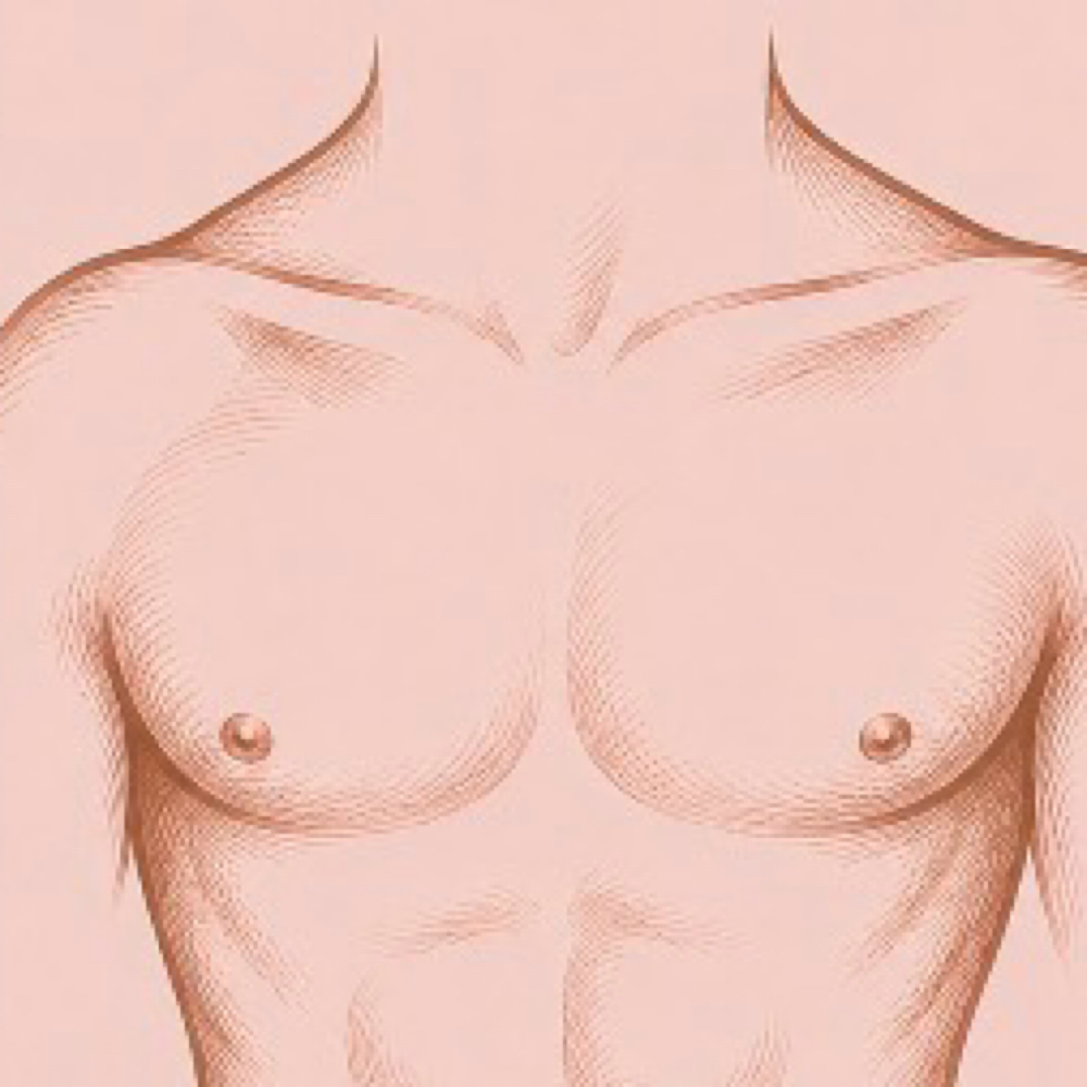 Waxing - Full Chest at Emeliean Wax & Spa in Newnan, GA