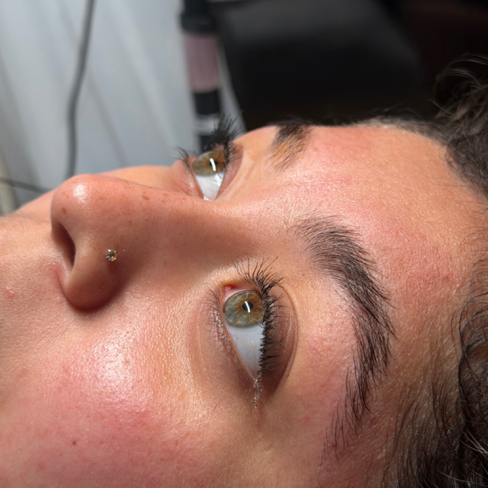 Brow Wax Only at Soft Stone Esthetics in Bladensburg, MD