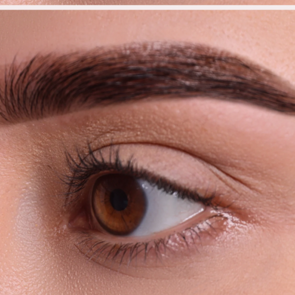 Brow Wax & Tint at Beautiful You Esthetics in Gilbert, AZ