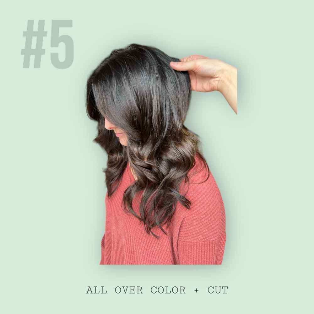 #5 ALL OVER COLOR + CUT