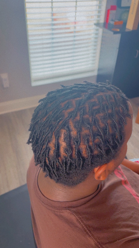 Short Lenght Starter Locs