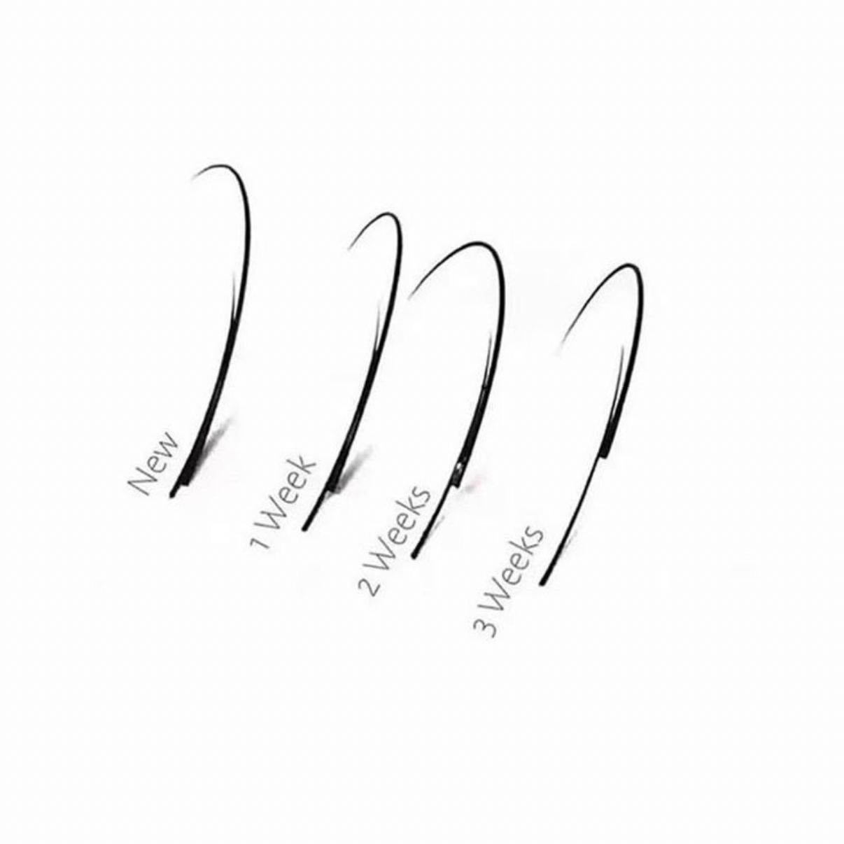 3 WEEK REFILL at little beauty studio in Alhambra, CA