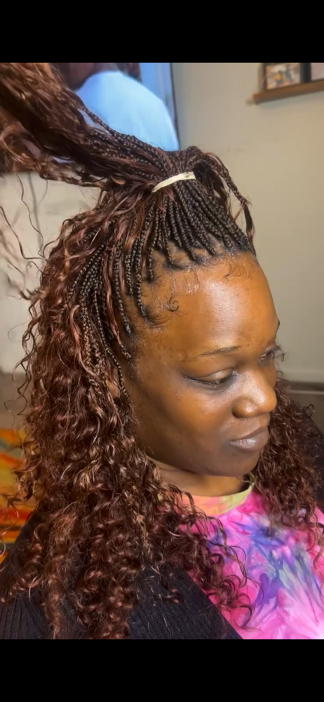 Micro Braids Sew In the Back