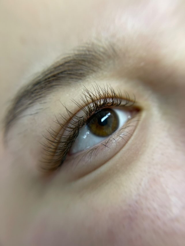 Brown Classic Fill