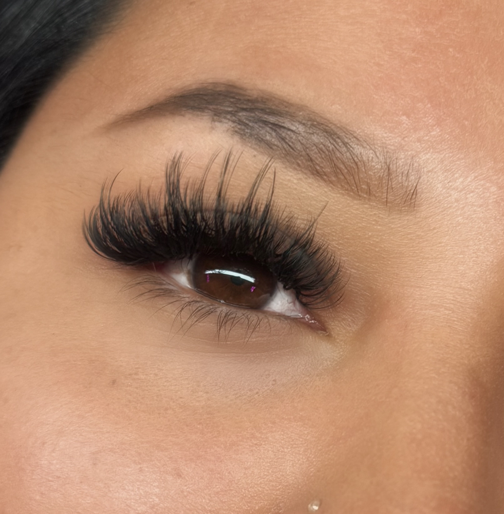 Volume Lashes
