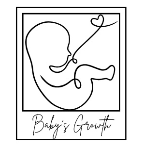 Baby’s Growth [ADD-ON Service] at HELLO BABY 3D/4D LLC in Deer Park, TX