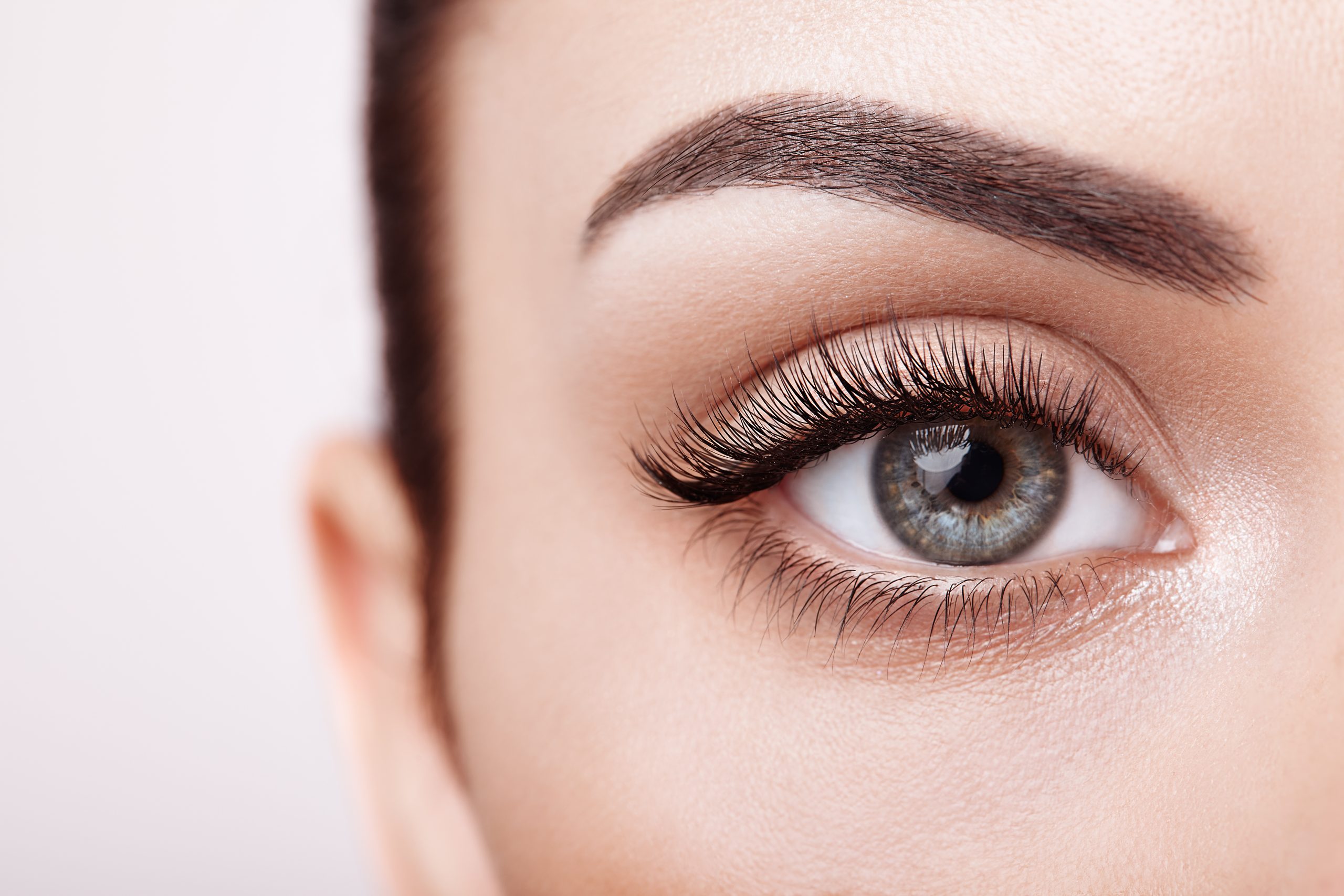 Eyebrow Wax + Tint at Free Spirit Beauty in Hamilton, OH