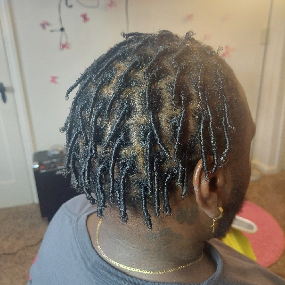 STARTER LOCS/COILS/2 STRAND TWIST at CLASSY CREATIONS BY TA in Portsmouth, VA