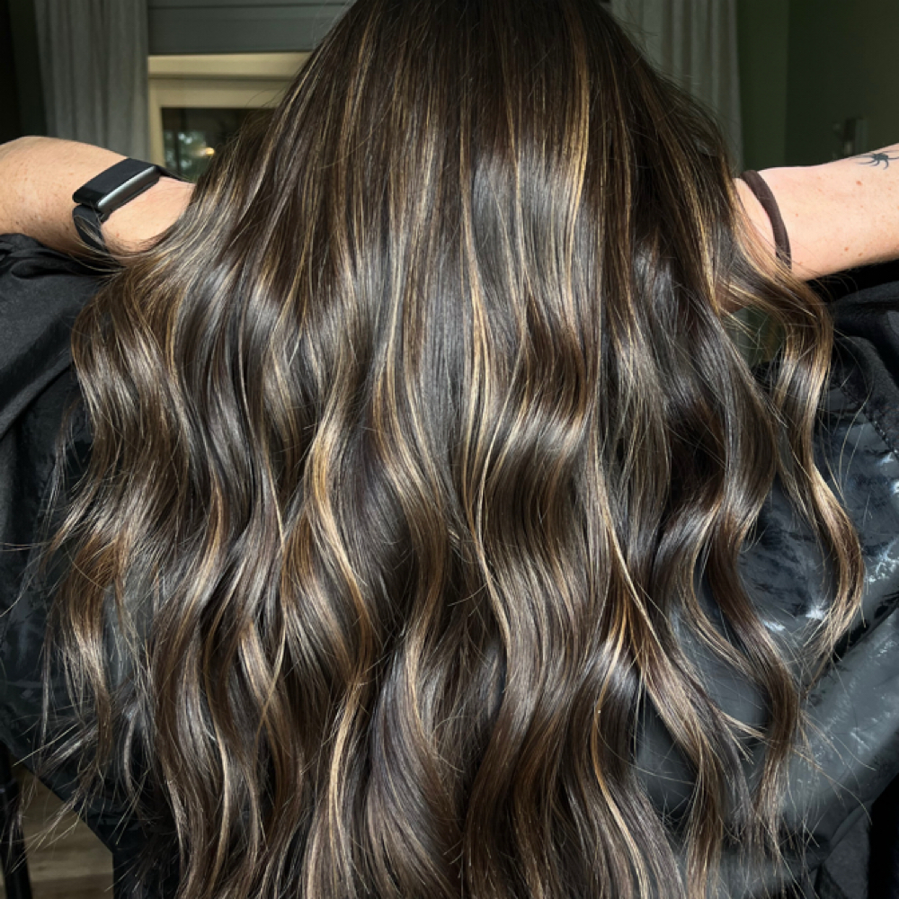 Lowlights/Going Darker at Colored By Halle in Charlotte, NC