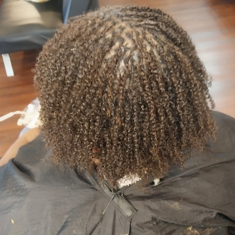 Micro Twist/braids No Extension Add at Heavenly Creationz @The Ivory Coast in Gallatin, TN