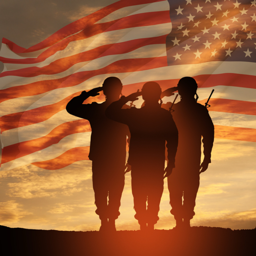 Veteran Cut at ME in Fenton, MI