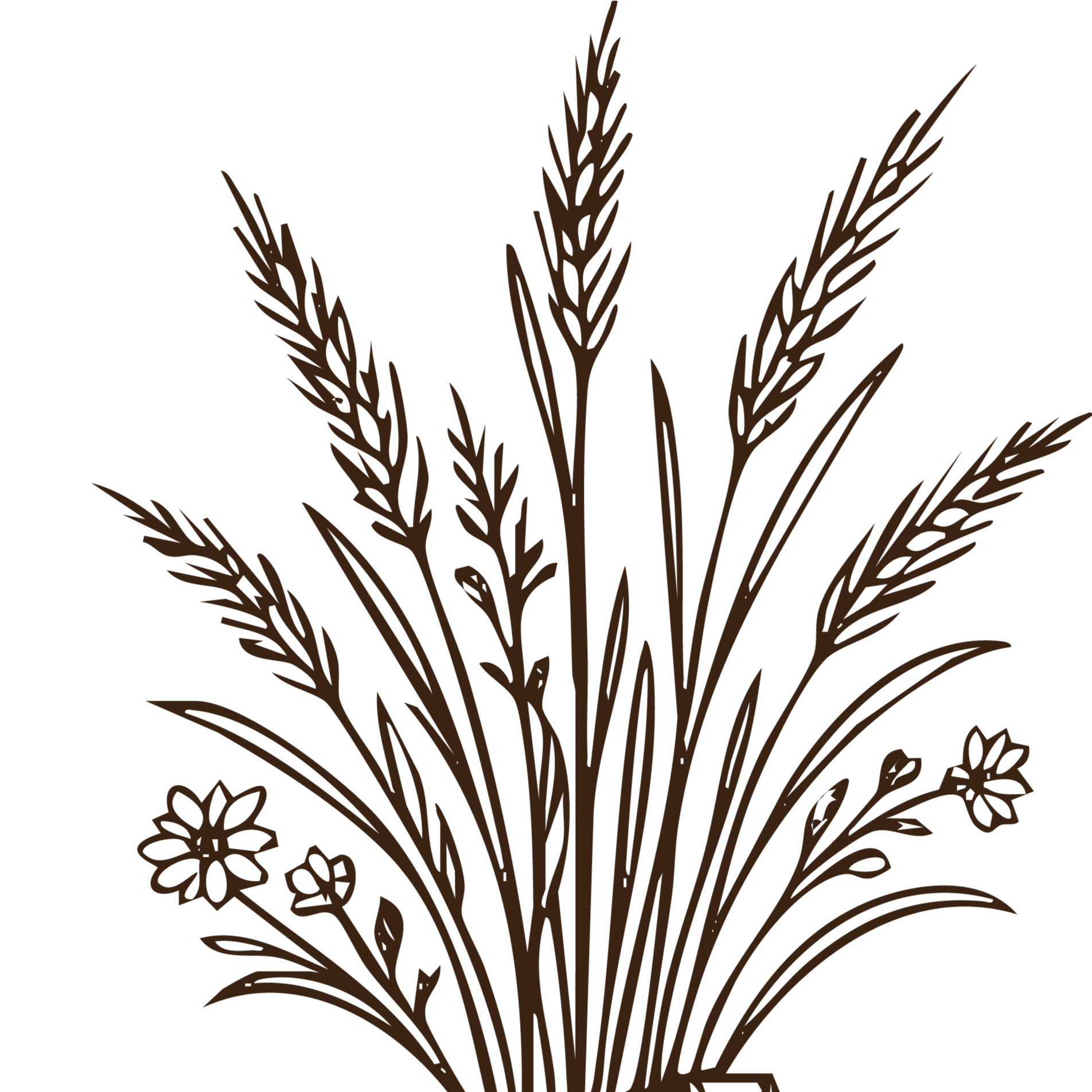 Lash Lift & Tint at Rustic Roots Aesthetics in Trinity, FL