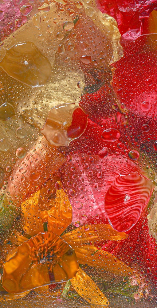 Product Removal Add On at SetzByJess in Plano, TX