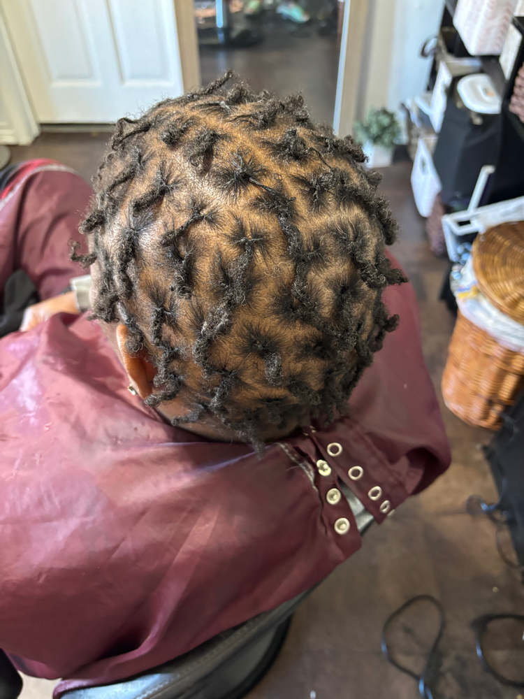 Starter Locs