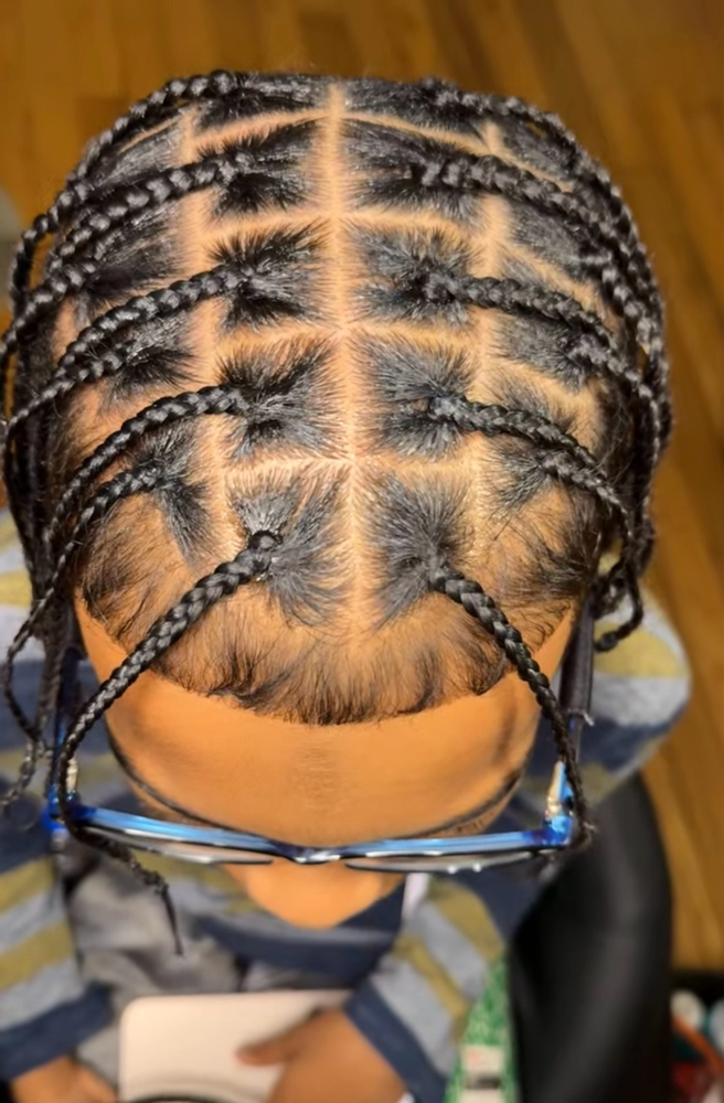 HAIR BRAIDS NO EXTENSIONS