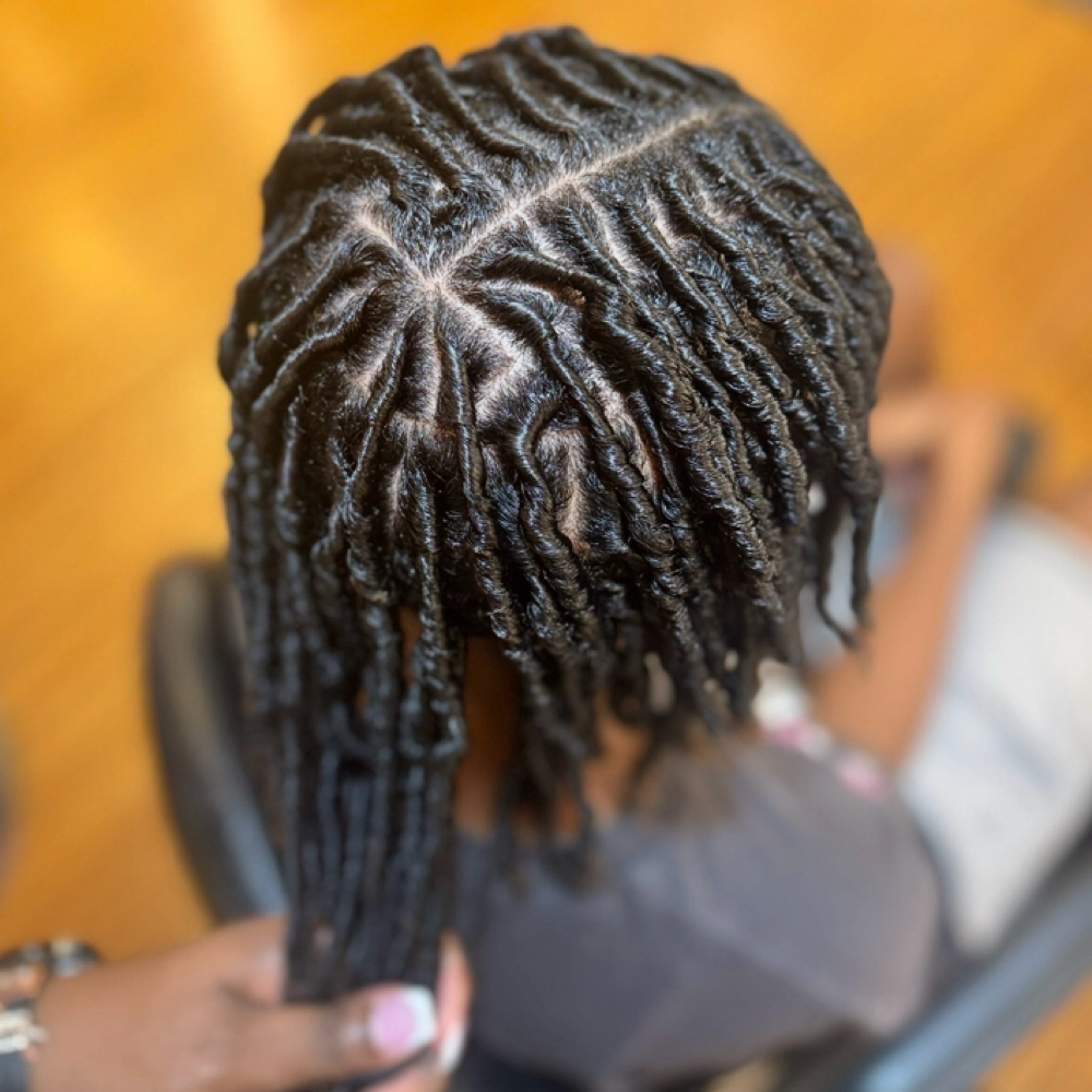 Starter Locs Full Head at Unique Braids, Locs & Twists in Appleton, WI
