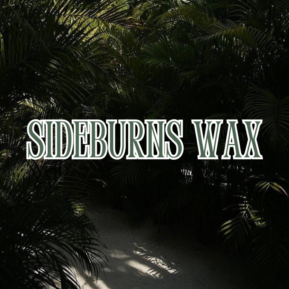SIDEBURNS WAX at SkinxHim Aesthetics in Athens, TX