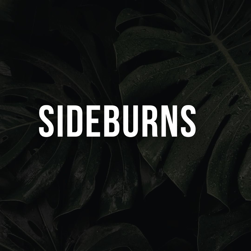 SIDEBURNS