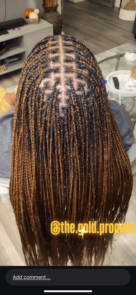 Small Box Or Knotless Braids at The Gold Process in Arlington, TX