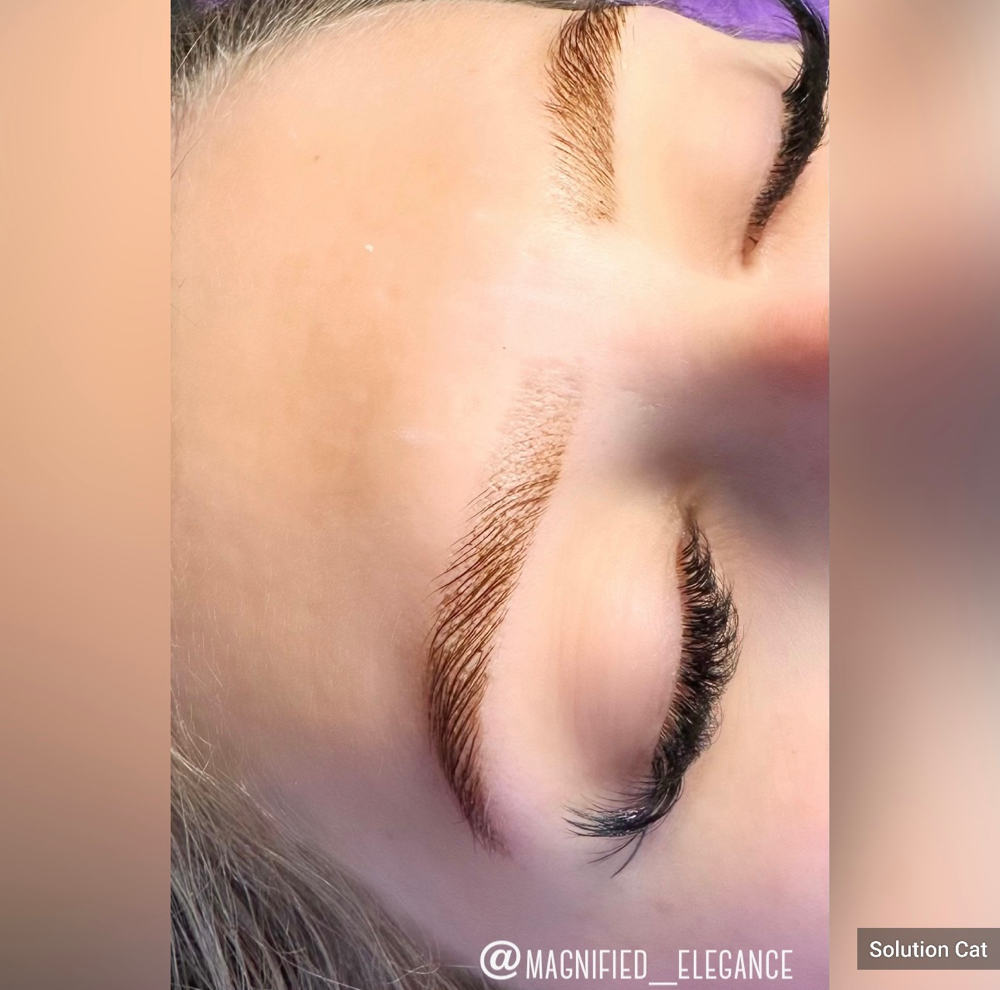 Magnified Brows