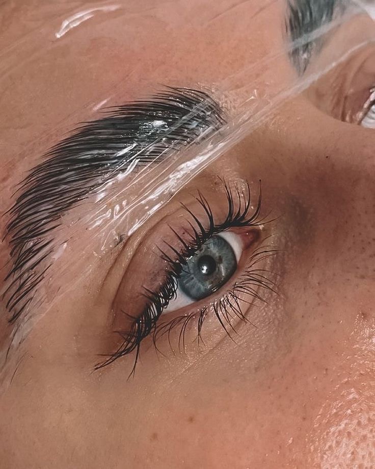 brow lami + tint + wax