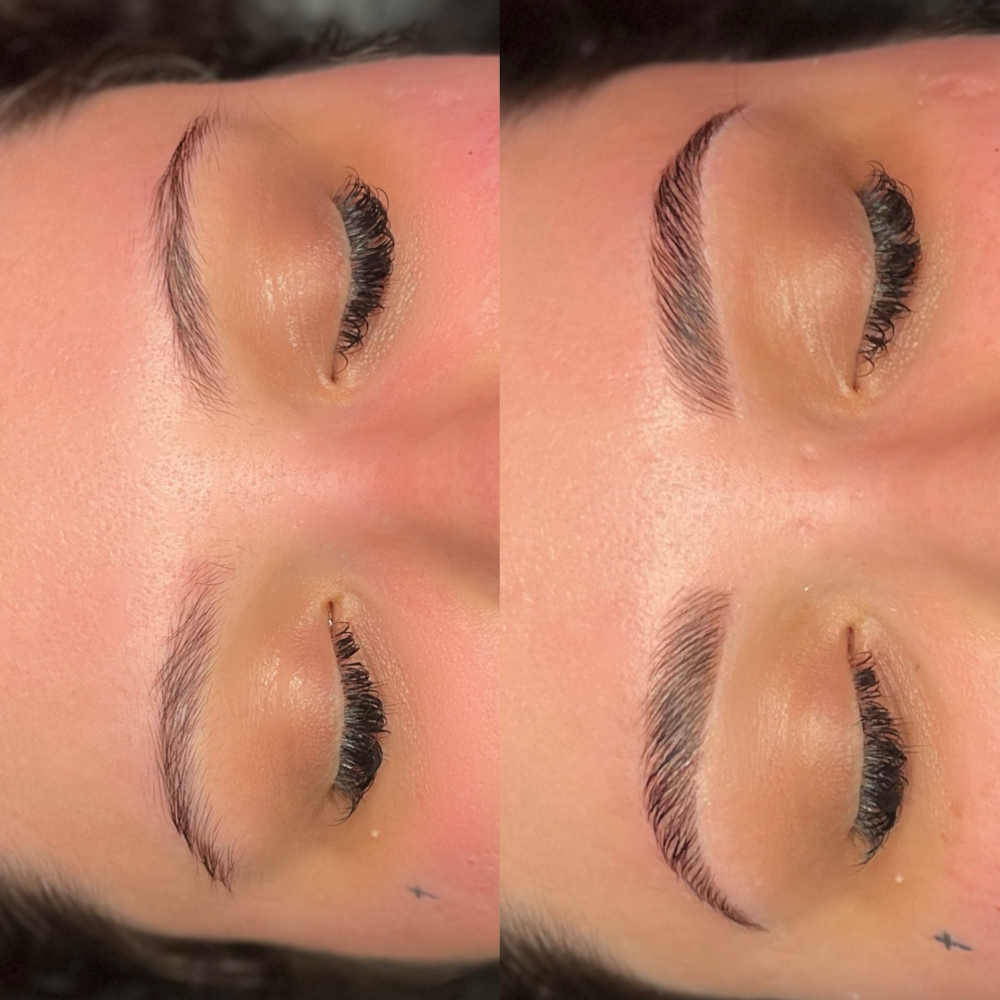 Brow Tint, Lamination, & Shaping at MelRose Esthetics By Bridget in Racine, WI