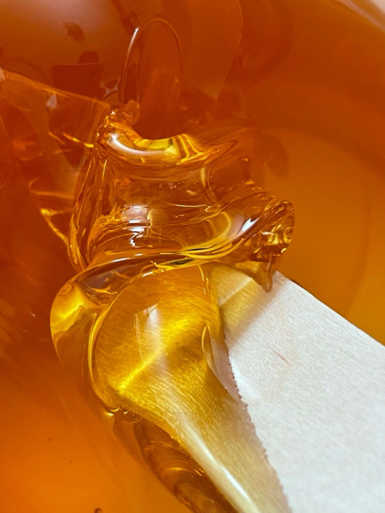Brazilian Sugar (Female Anatomy)