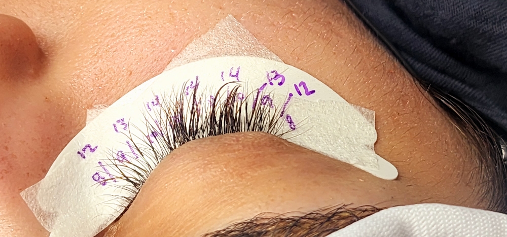 Lash Extensions FILL IN 2-3 Weeks