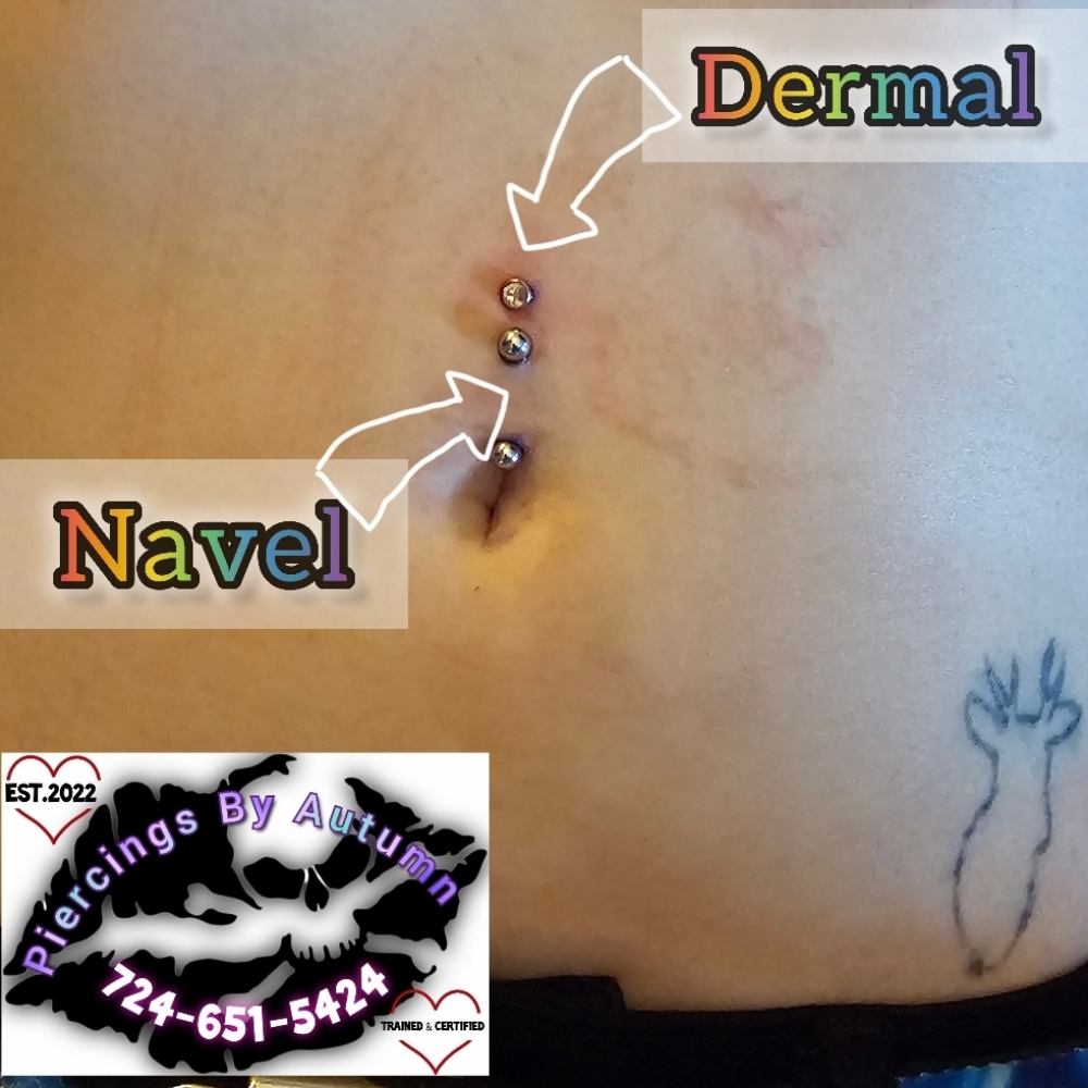 Navel/Belly Button at Piercings By Autumn in New Castle, PA