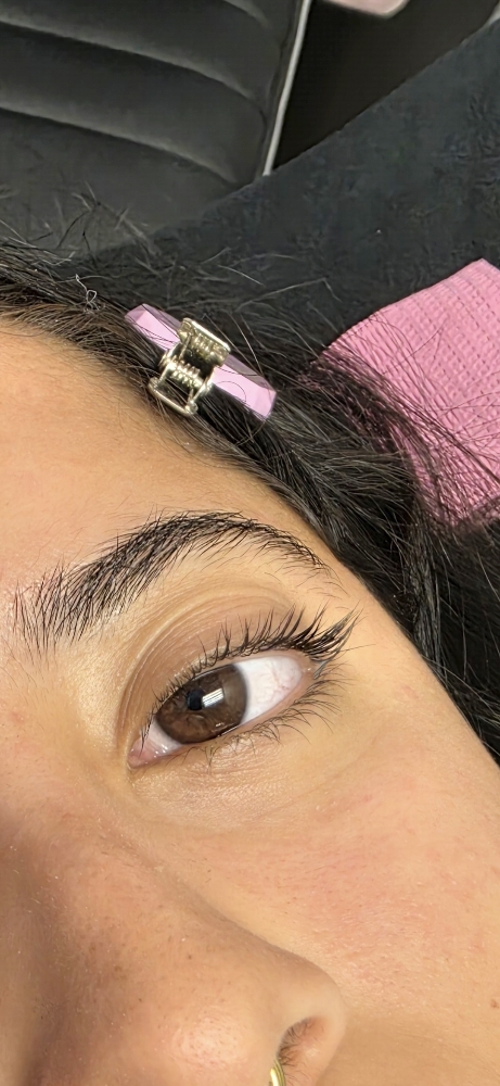 Lash Lift