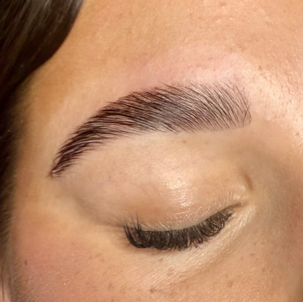 Brow Wax, Lamination & Tint Trio at Skin Lab by Ava Castelluzzo in Lapeer, MI