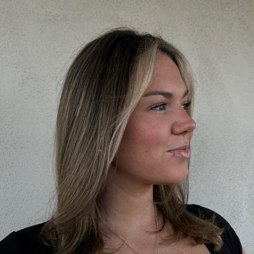 Lowlights at Hair By Sayra in Phoenix, AZ
