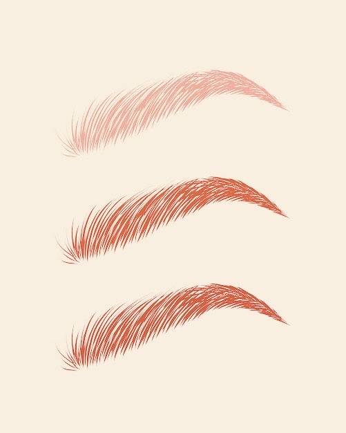 Brow Tint