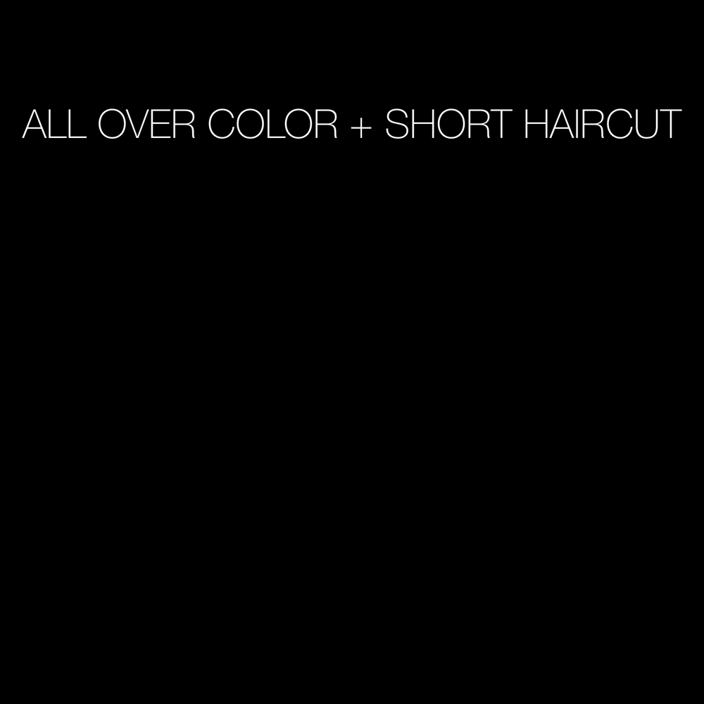 All Over Color + Haircut (short)