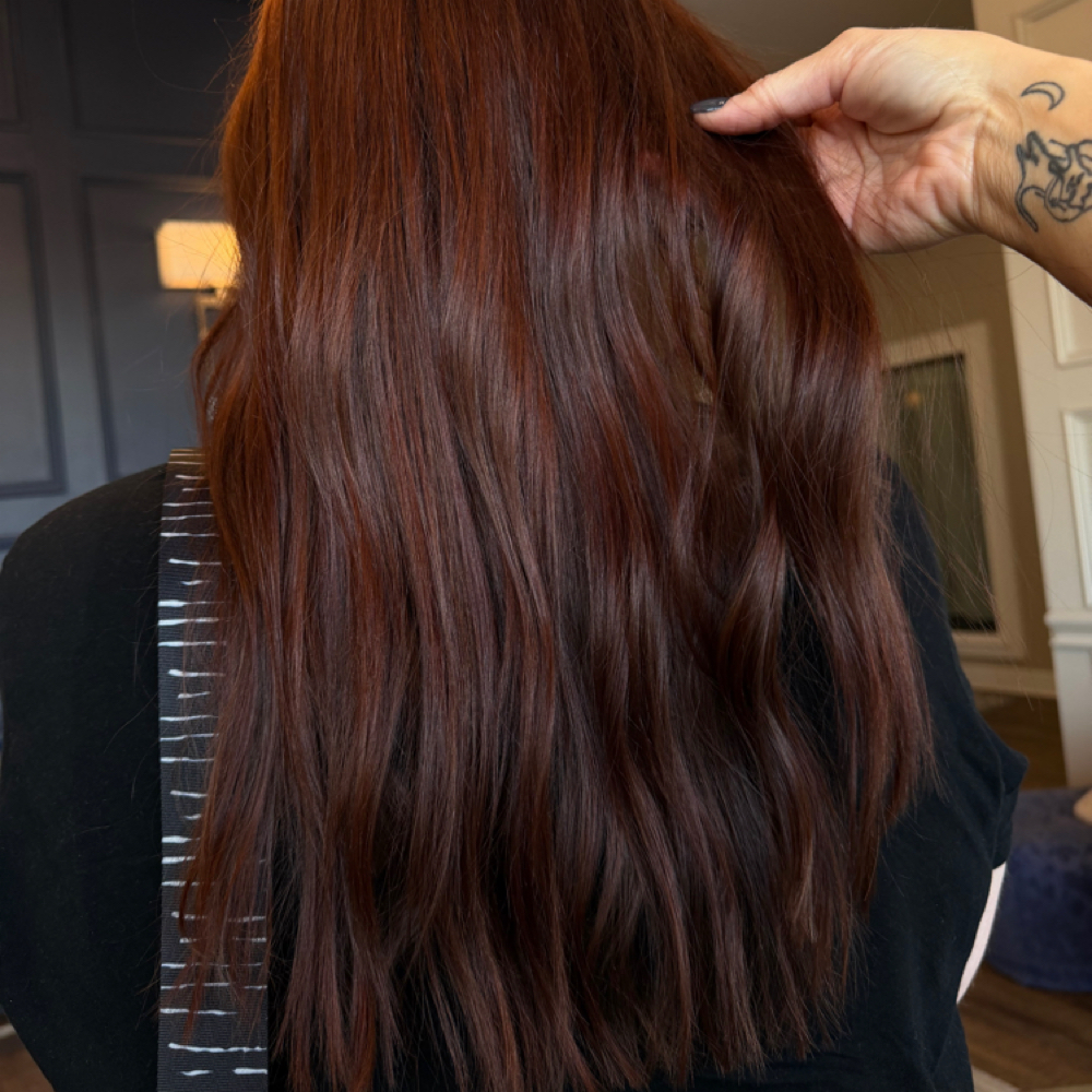 Full Color at Brandy Parker Hair Artistry in Pensacola, FL