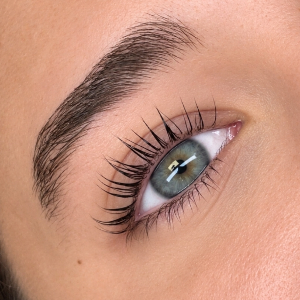 Korean Lash Lift & Tint at EverBloom Beauty in Woodhaven, MI