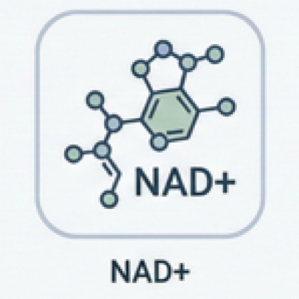 NAD+ at Perfect Touch By Lindsey PLLC in Londonderry, NH