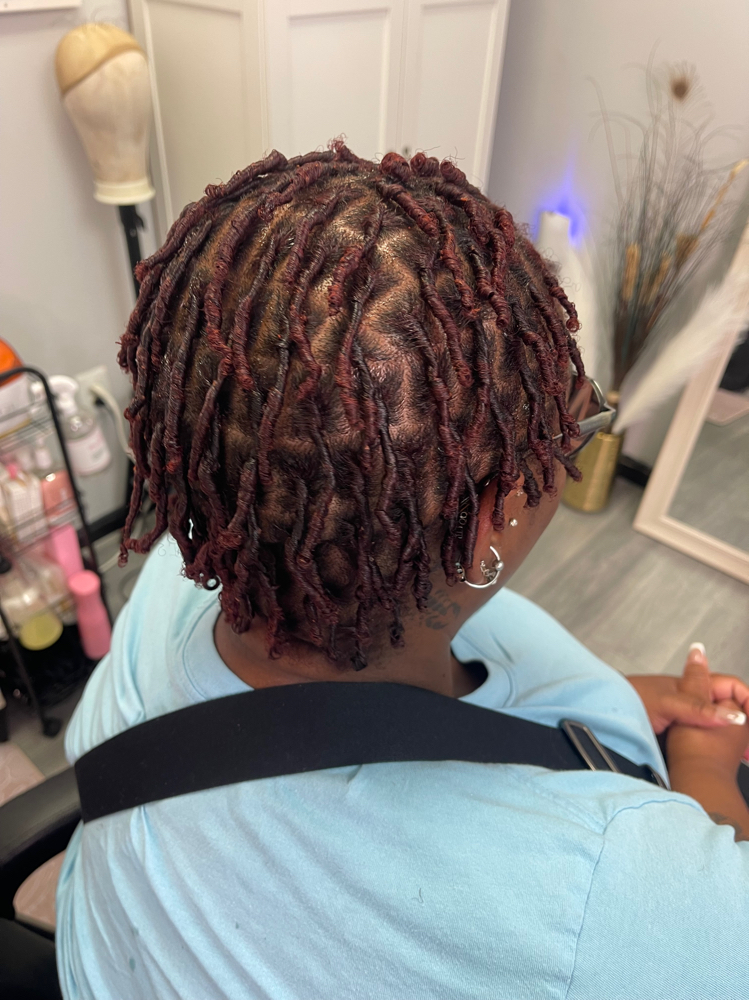 Starter Locs