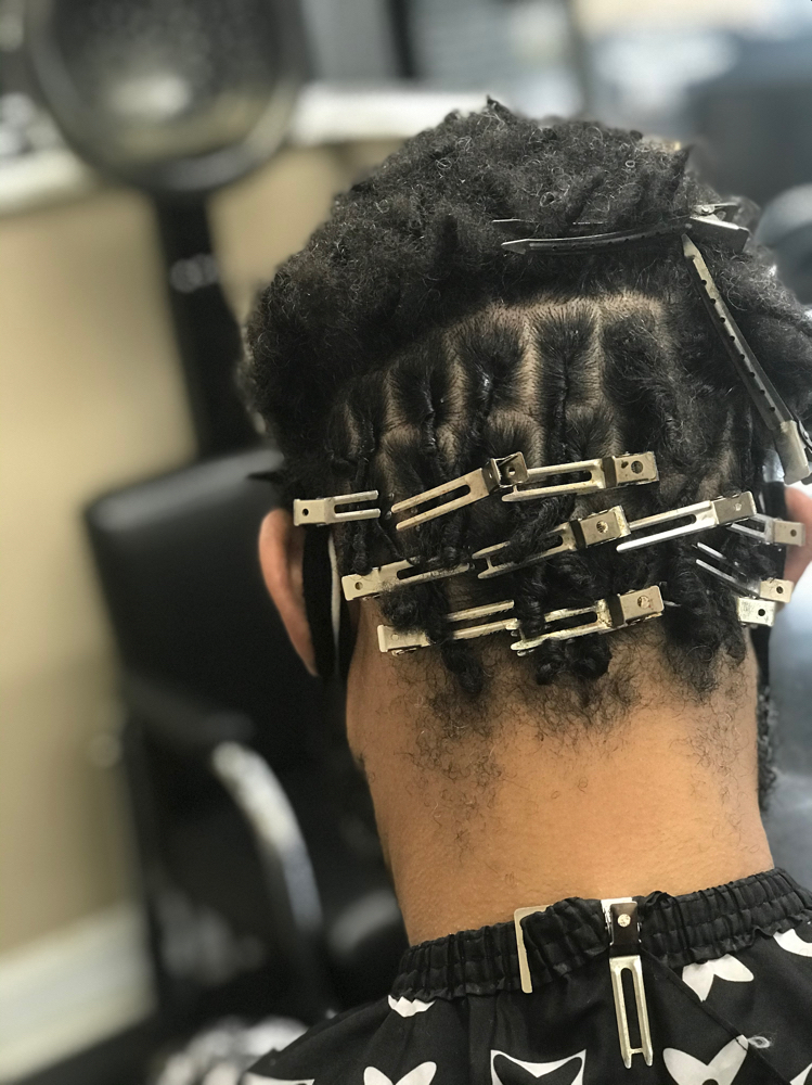 Starter Locs