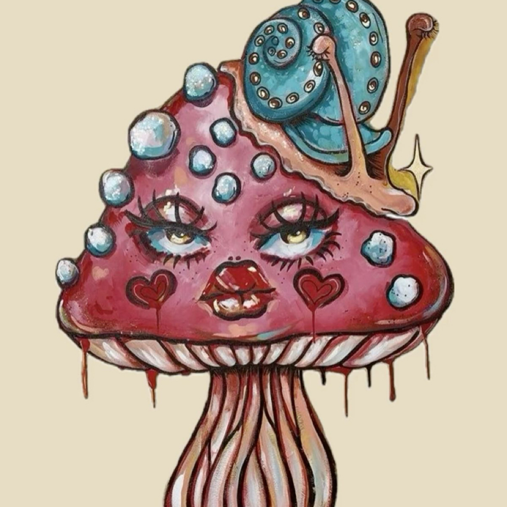 Volume 2 Week Fill at trippalash in Boulder, CO