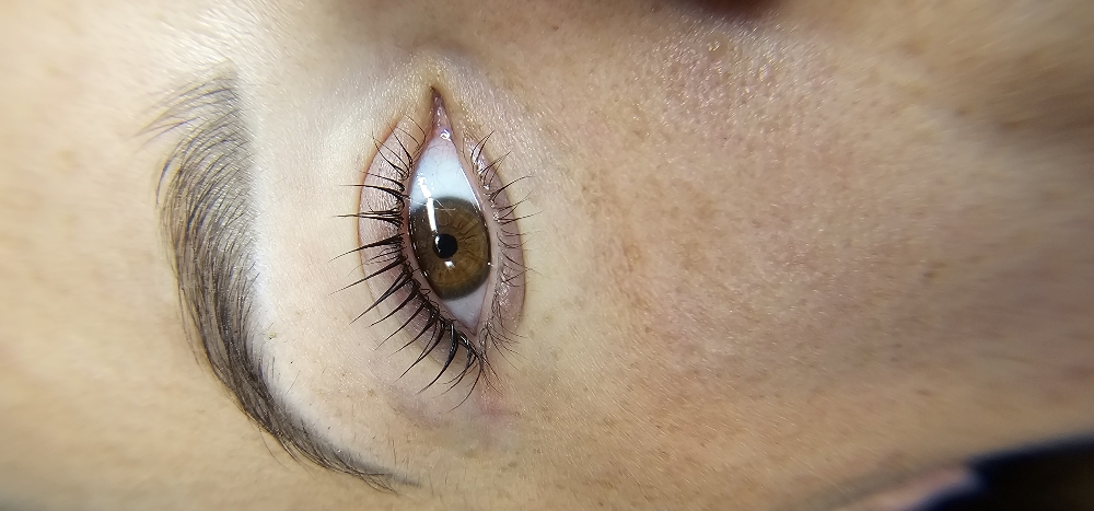 Lash Lift And Tint