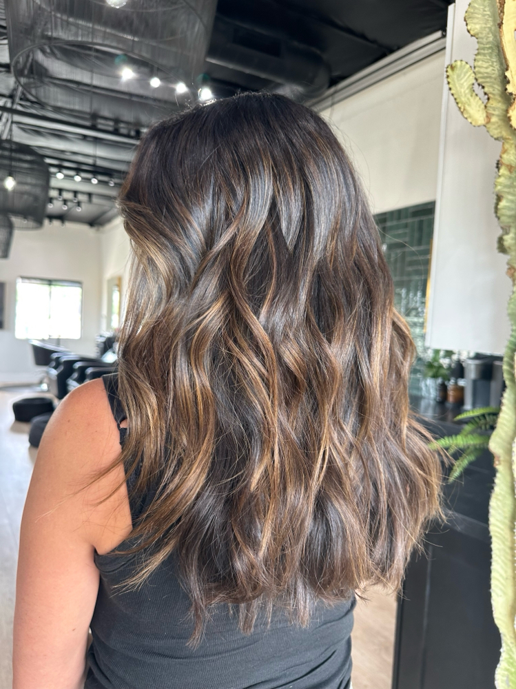Root Touch Up & Haircut