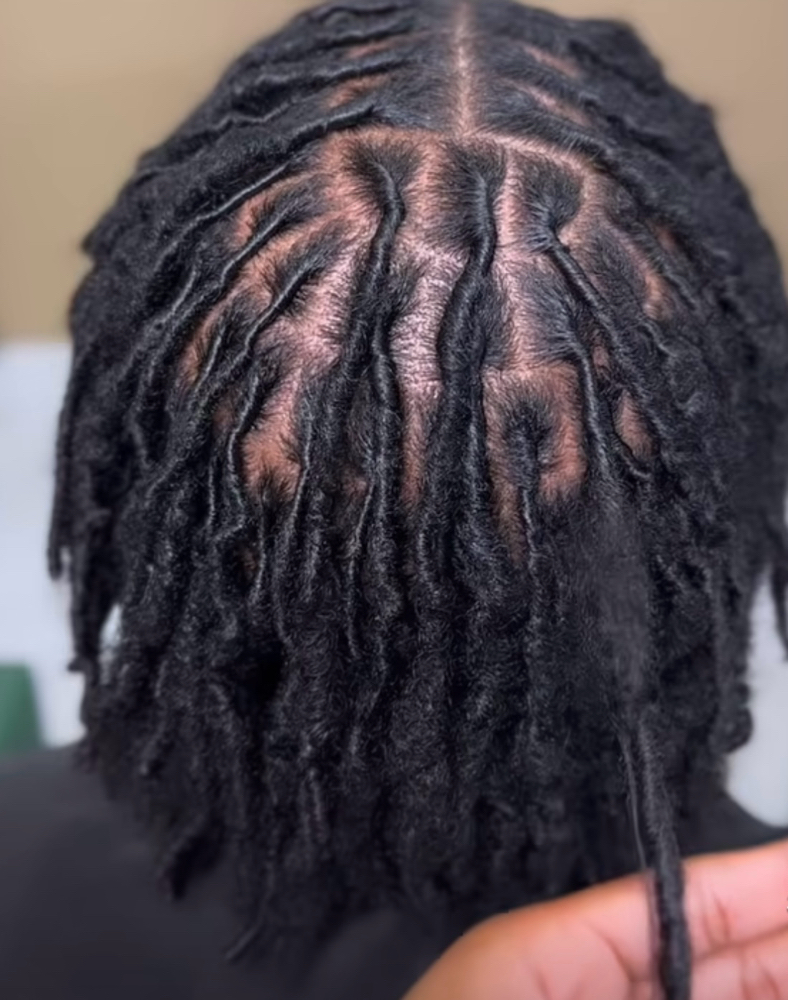 Dreadloc Retwist