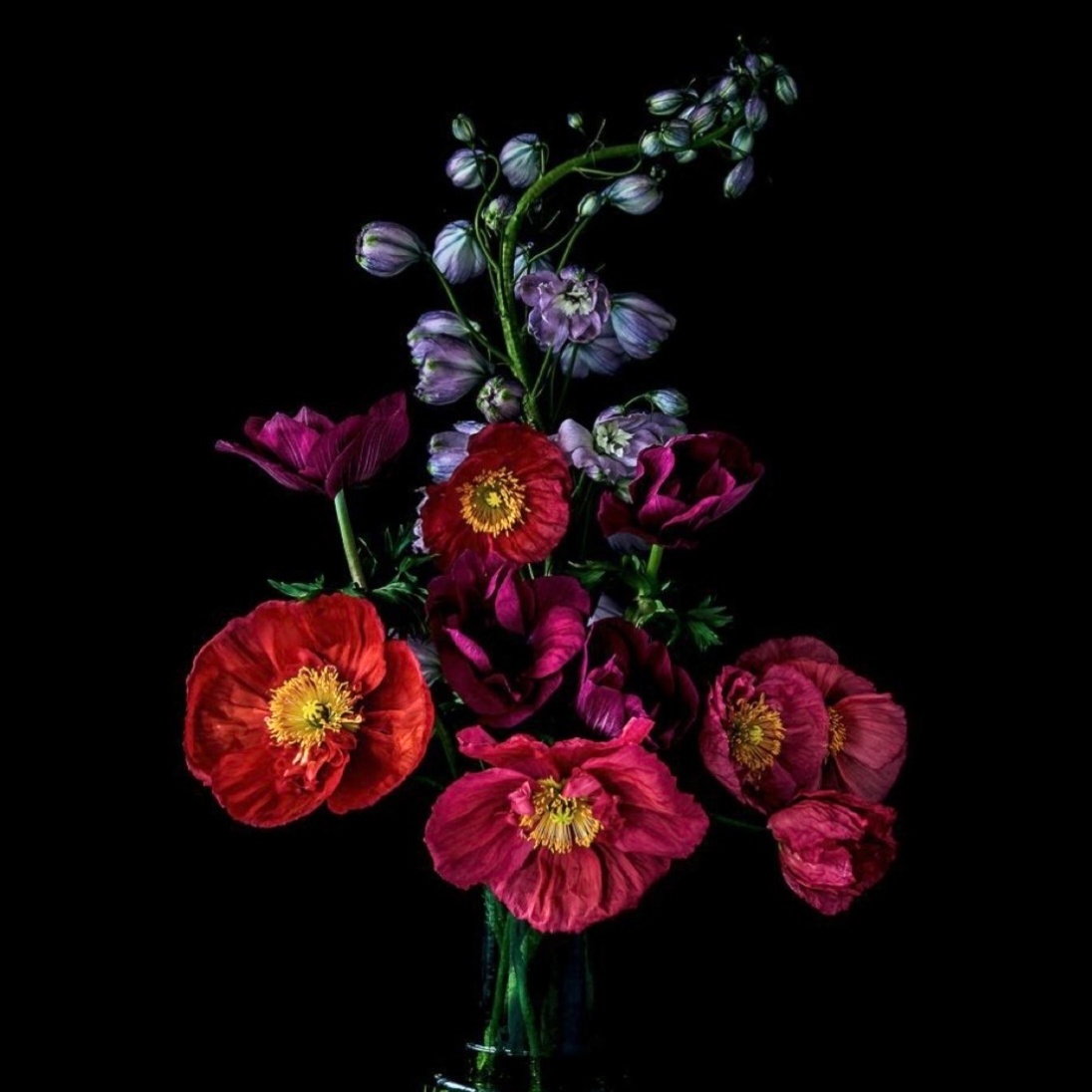 Root Refresh Bundle at JR Hair Co. in Lincoln, NE