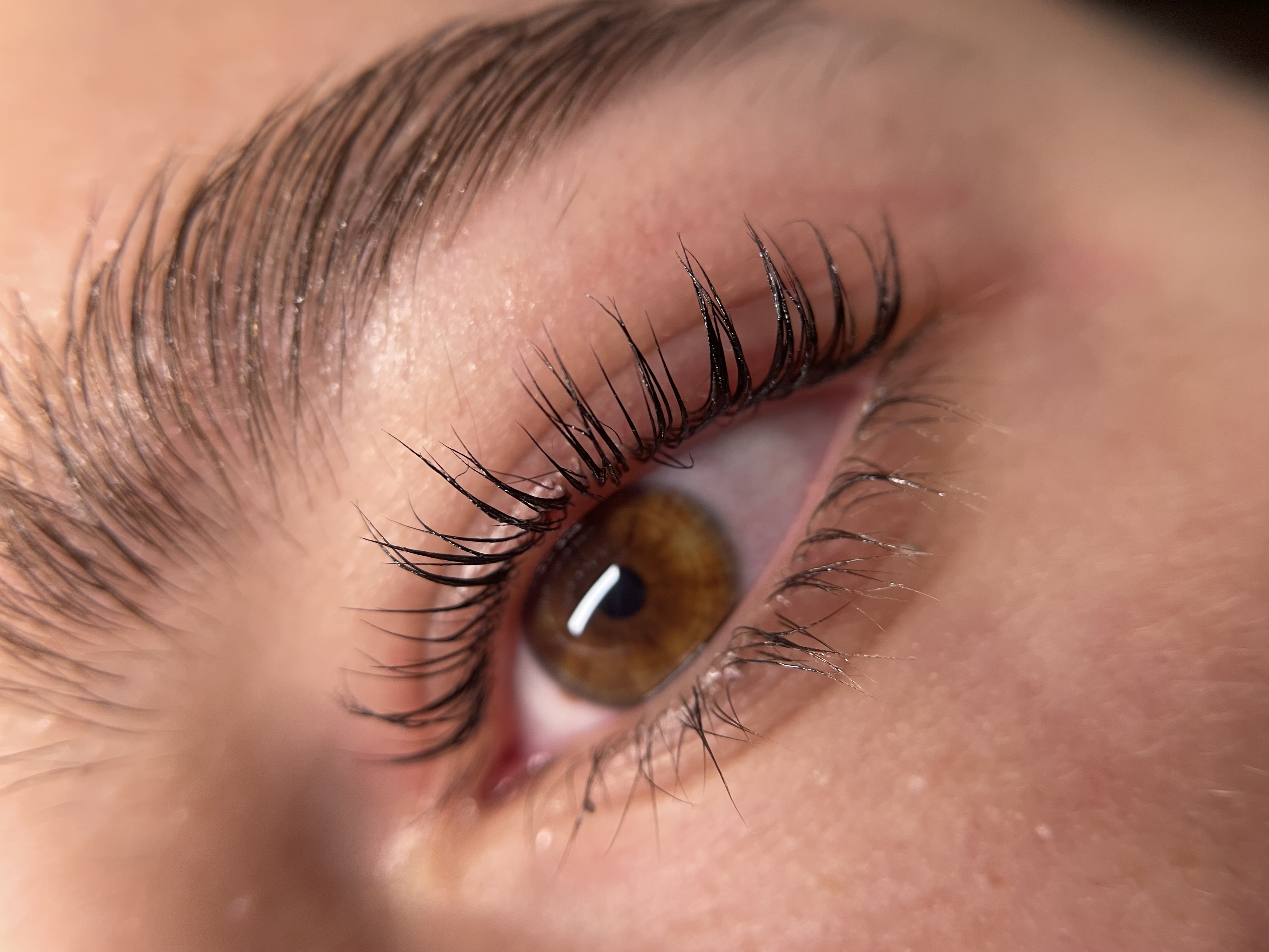 Lash Lift & Tint