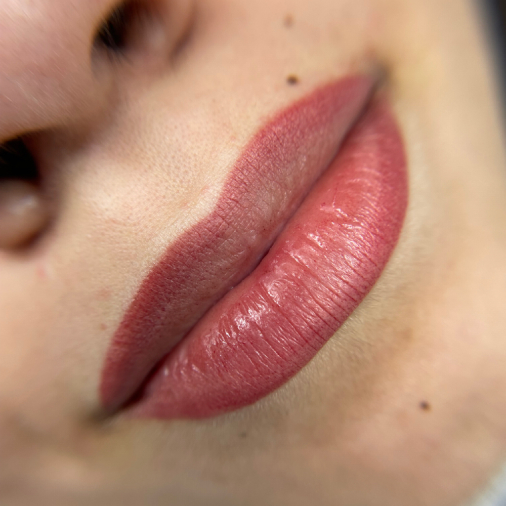 Lip Blush at LEIDYXBROWS in Freeport, NY