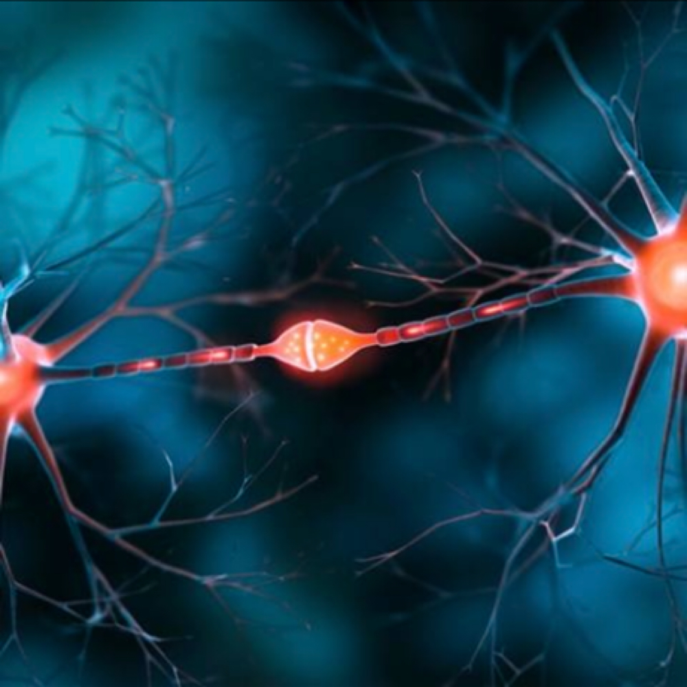 NAD+ 4-Pack (750 Mg) at Vital Mind Care in Sun City, FL